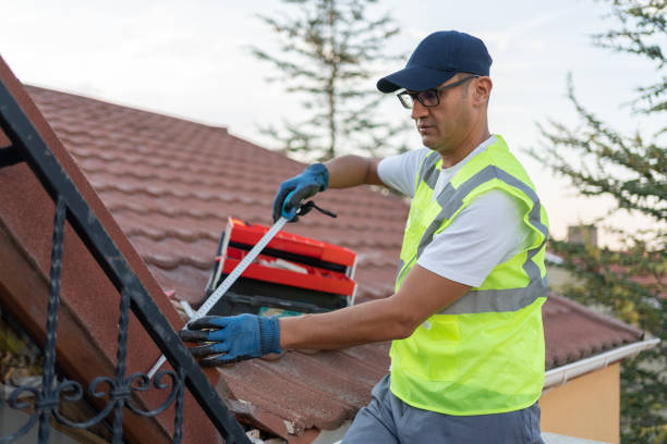 Best Vapor Barrier Installation  in Allendale, MI